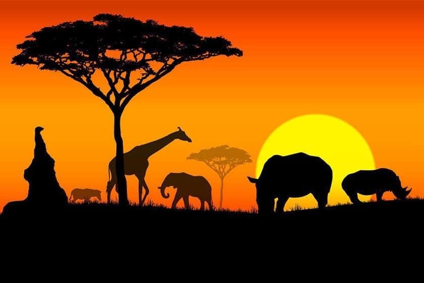 Guia dos Melhores Tours Africa