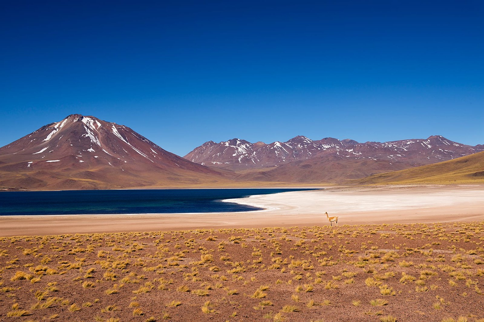 Deserto de Atacama – Chile: Explore o Lugar Mais Seco do Mundo e Suas Paisagens Surpreendentes