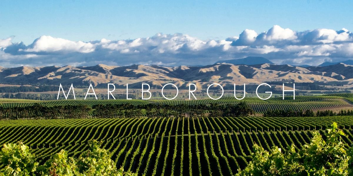 Rota dos Vinhos de Marlborough: Descubra os Melhores Sauvignon Blanc da Nova Zelândia