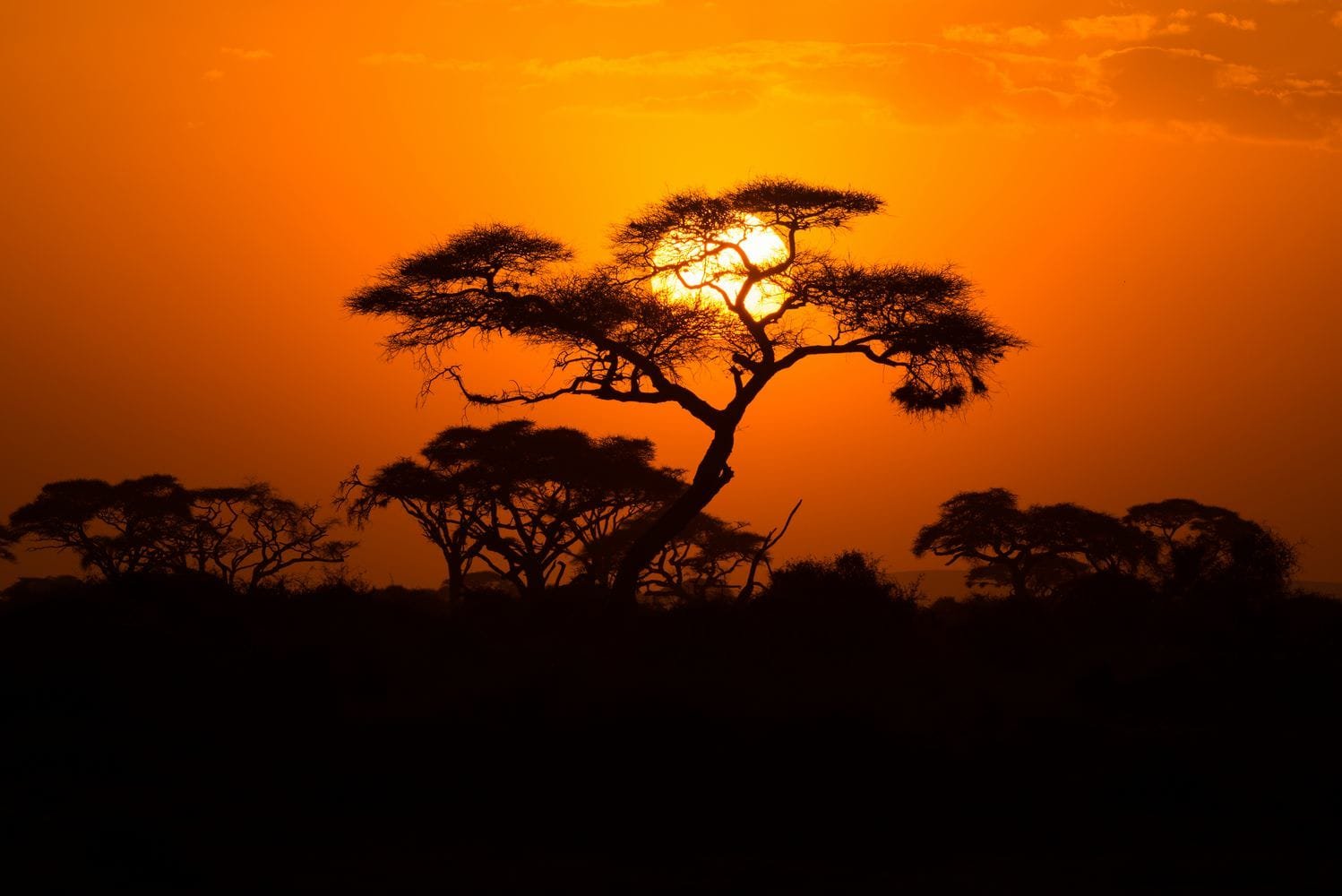 Guia de Viagem África