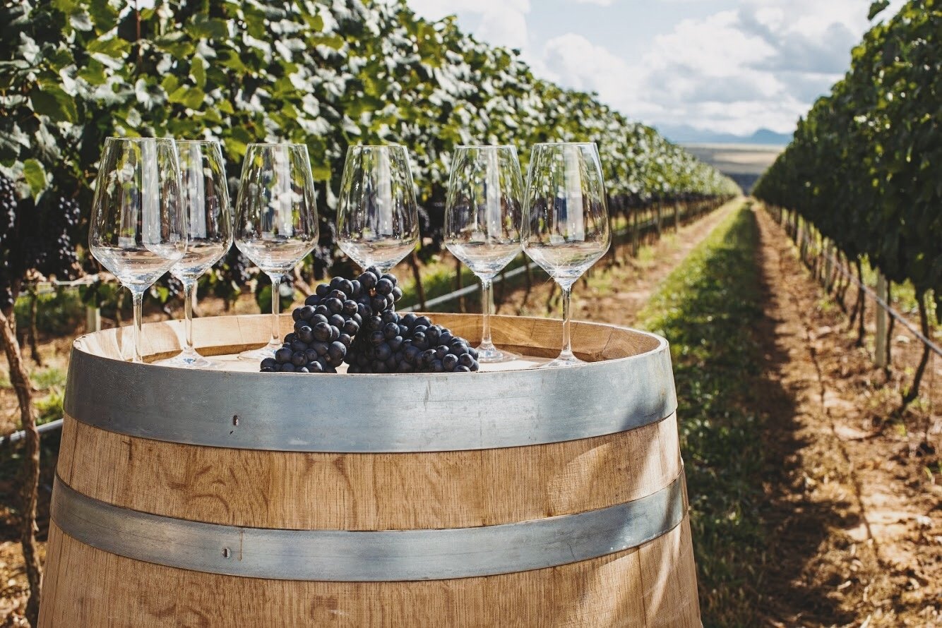 As Vinícolas Mais Famosas da Argentina: Descubra as Regiões e Rótulos Icônicos