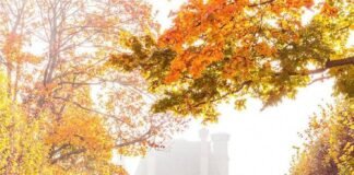 Outono na França: Descubra os Destinos Mais Românticos e Encantadores da Estação